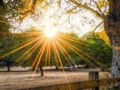 (小米15ultra价格及图片)2亿像素100mm超长望远+5000万像素70mm中焦特写：小米15 Ultra旗舰手机设计揭晓