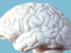 最新研究：人类的智力似乎正在走下坡路
